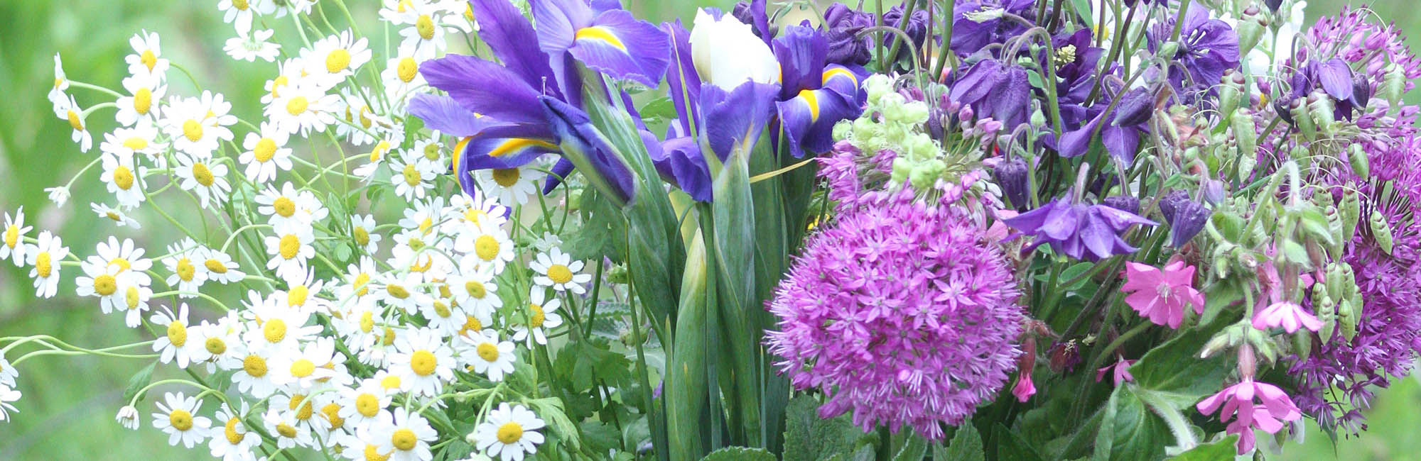 DIY Flowers