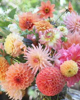 autumn flowers