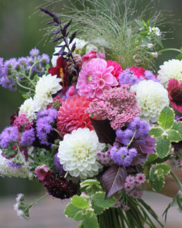 summer flowers